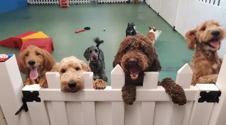 Foto 1 de MascostasSpaJuli